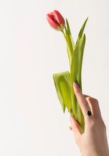 Load image into Gallery viewer, Black Onyx Ring Acorn Home + Apparel