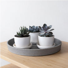 Load image into Gallery viewer, 11" Decorative Tray